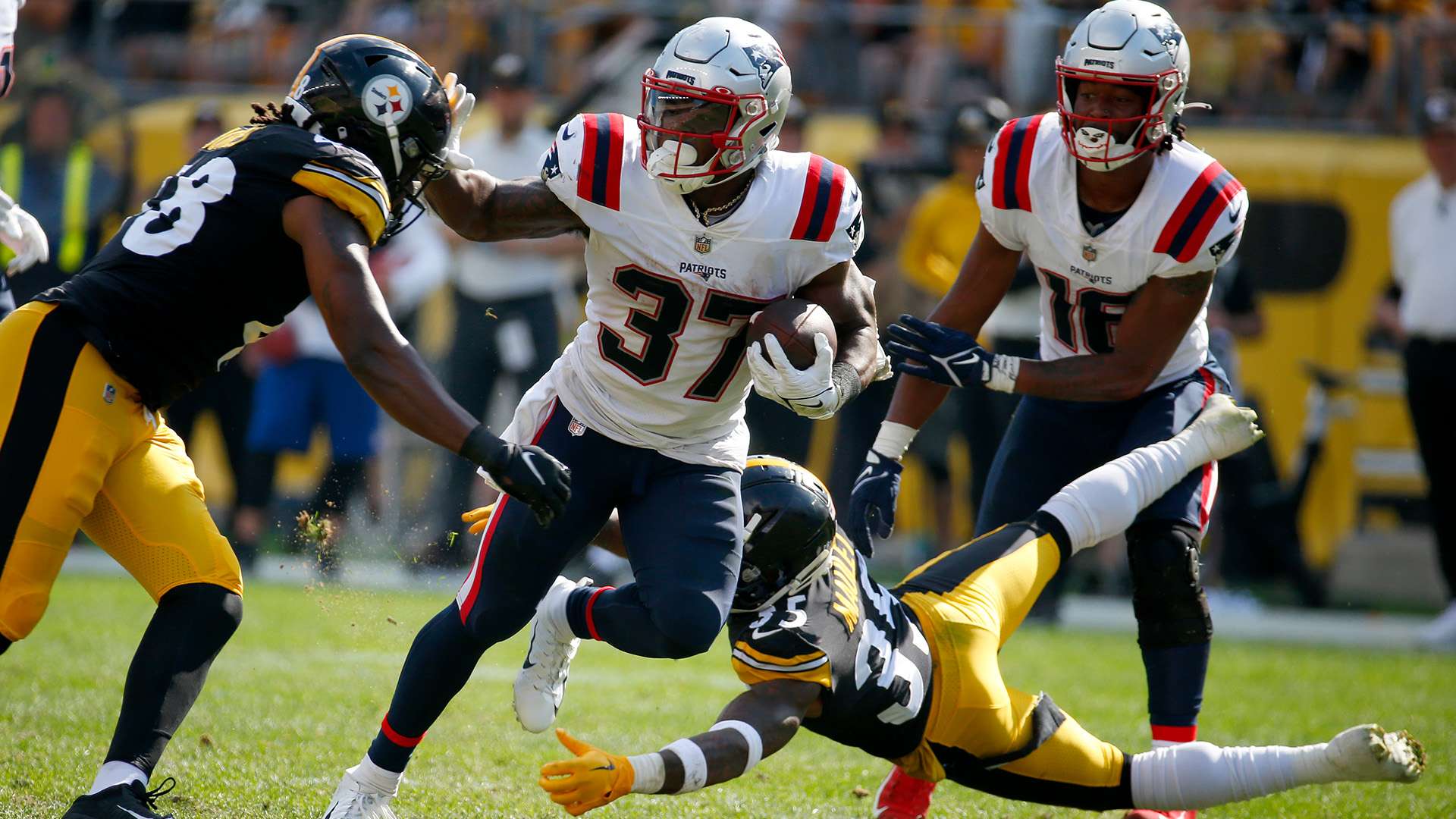 会市场上 会市场上